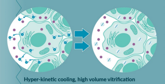 Cold Storage Cell Diagram